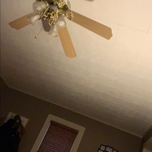 Meet your Posher, Brady